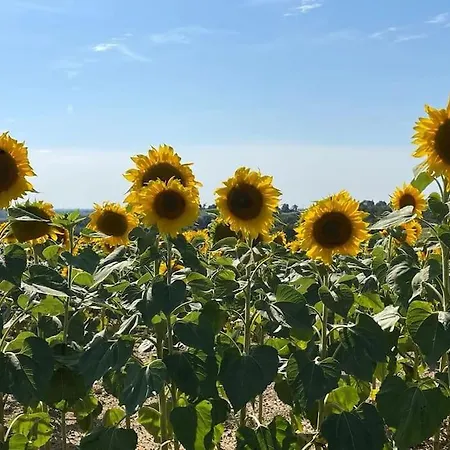 Domaine De Calabel - Le * Pouylebon
